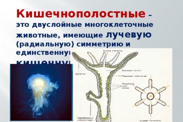 Как попасть на сайт кракен