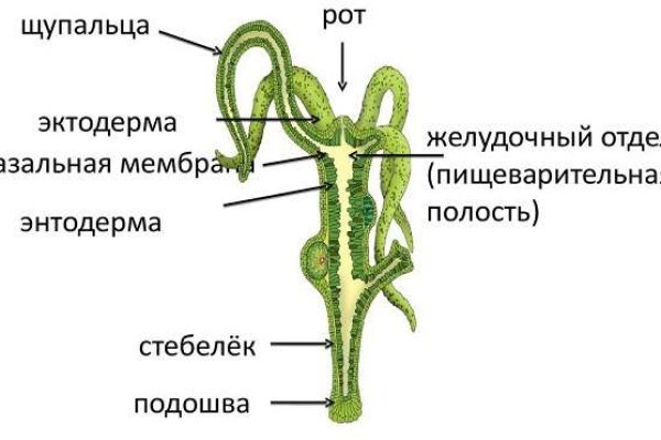 Сайт кракен тор браузера